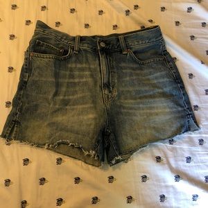 NWOT Gap cutoff high rise denim shorts